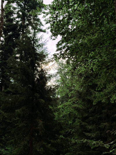 日常
拨雨撩云