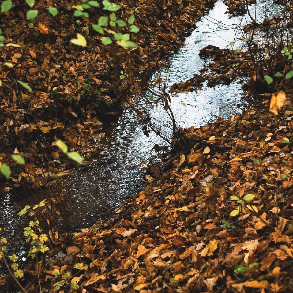 日常
云魂雨魄