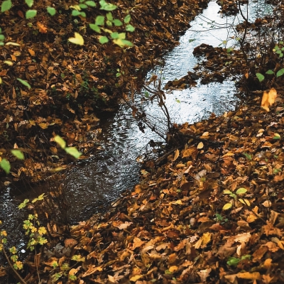 日常
云魂雨魄