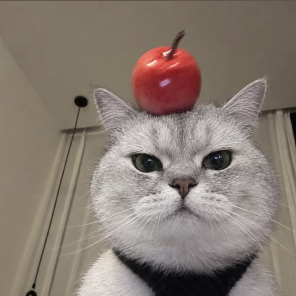 头像