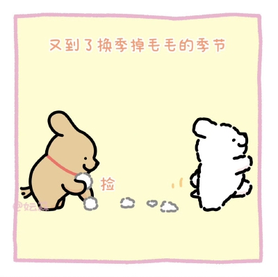 线条小狗