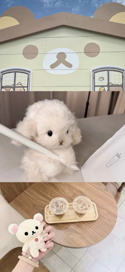 。