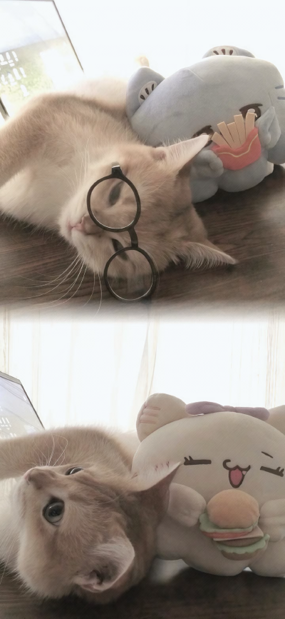 。