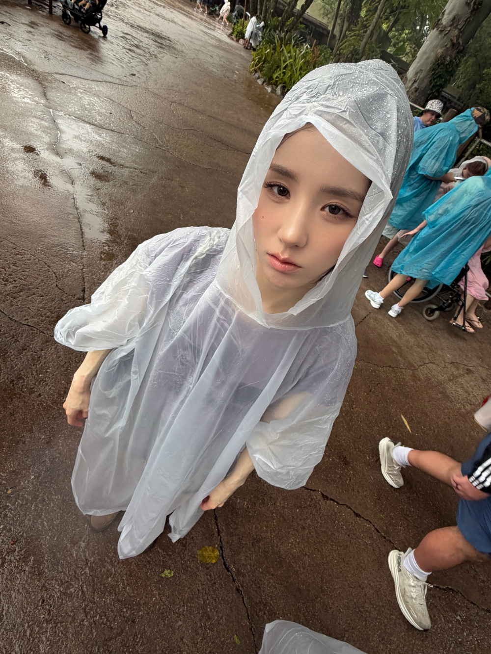 田姬振