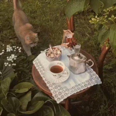 棕色系