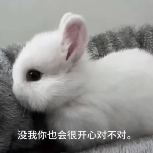 。