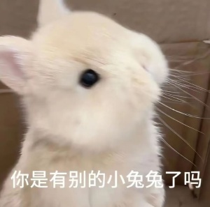 。
