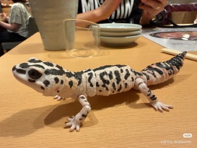 好物