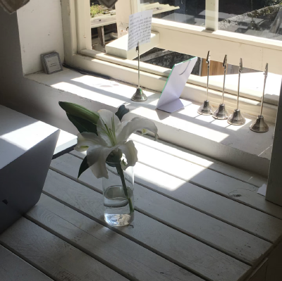 木质风背景图 百合花背景图 ins背景图