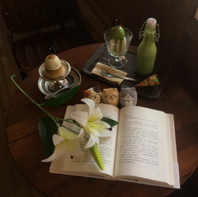 木质风背景图 ins背景图 棕色系背景图 古早背景图