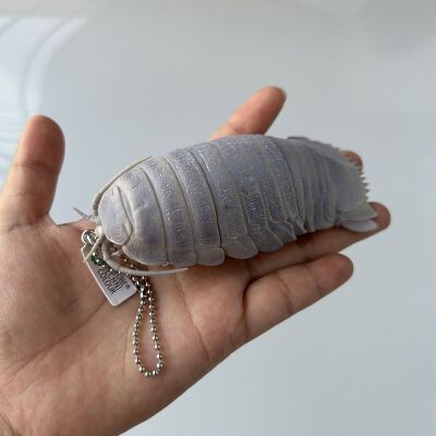 好物