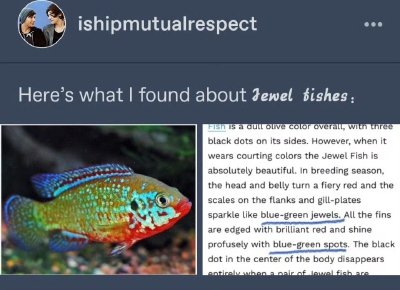 。