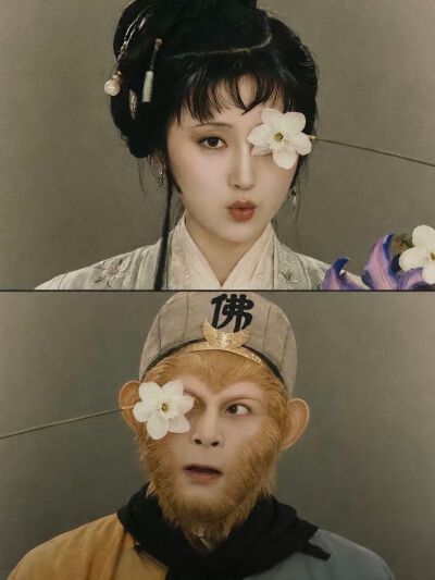 内耗小姐万能先生