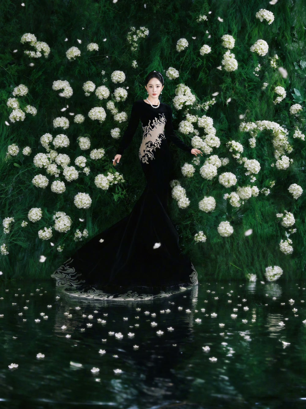 杨幂