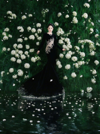 杨幂