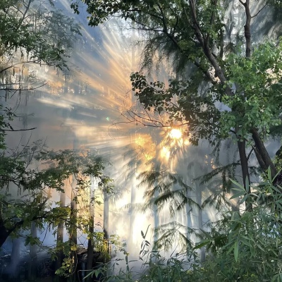 背景