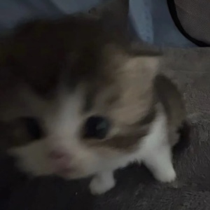 。