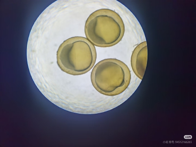 。