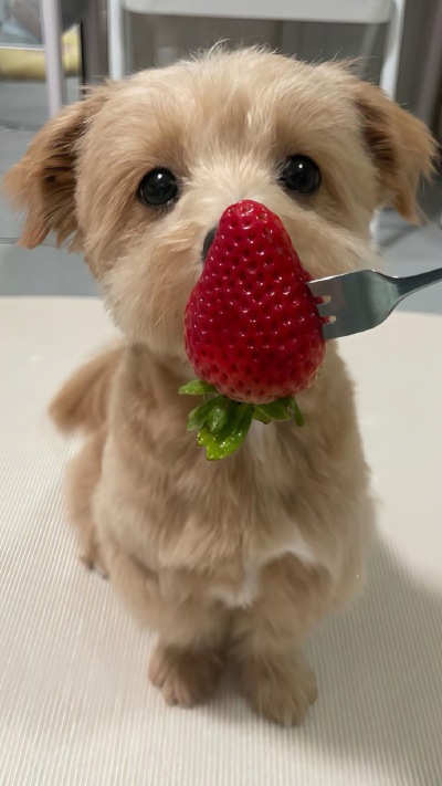 ～
