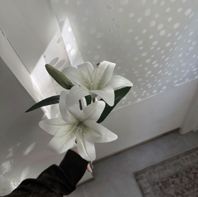 百合花背景图 ins背景图 白色系背景图