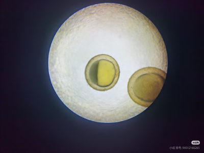 。