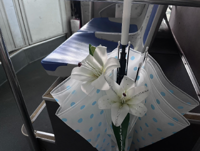 百合花背景图