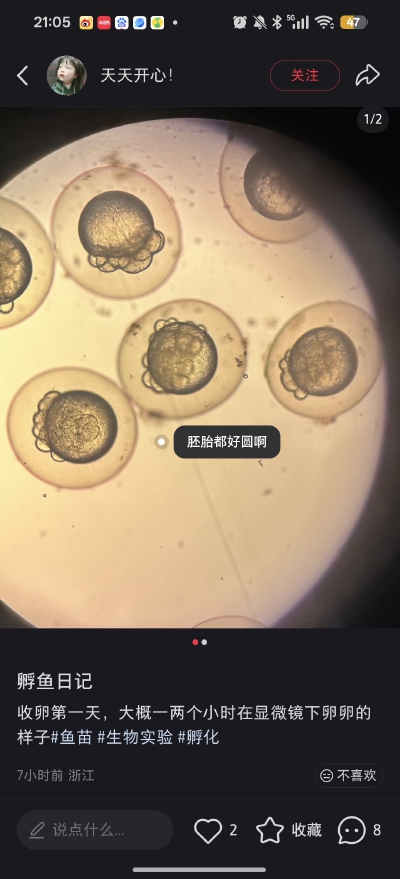 。