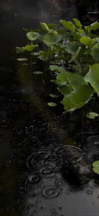 黑色系壁纸