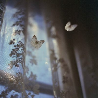 背景图