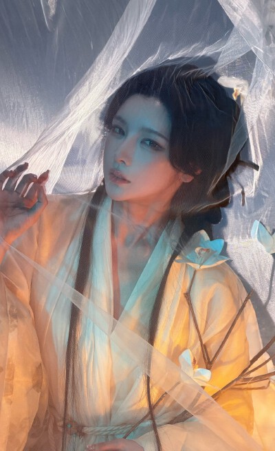 戴燕妮