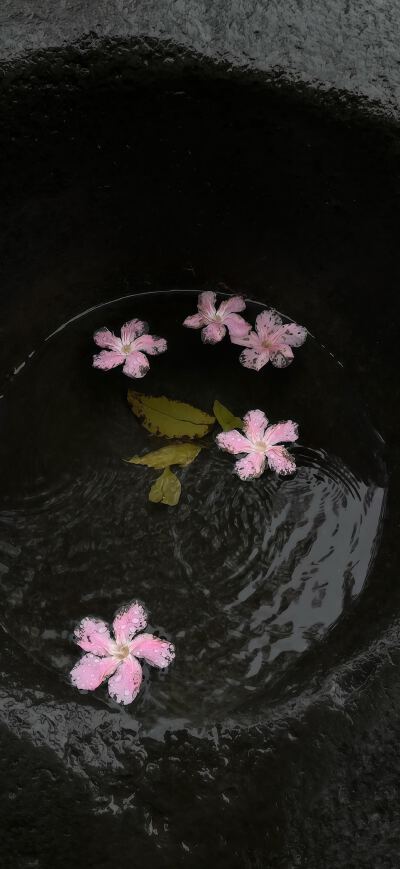 壁纸