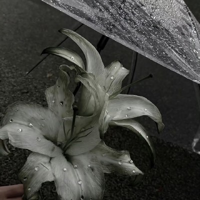 图源ks：偷喝汽水