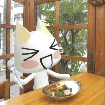 多罗猫