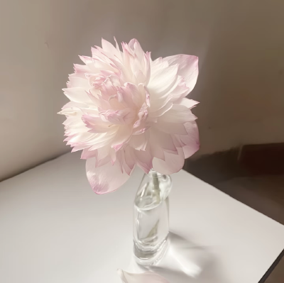 粉色系背景图
