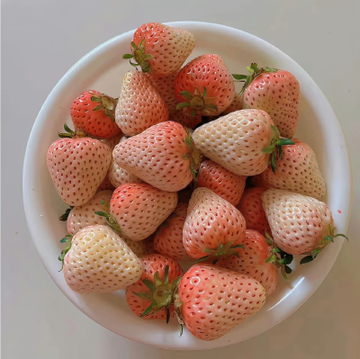 粉色系背景图 草莓背景图