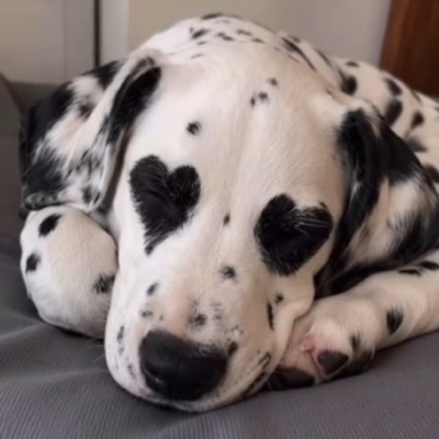 ～