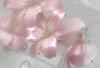 粉色系背景图 百合花背景图
