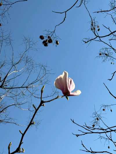 蓝色系背景图