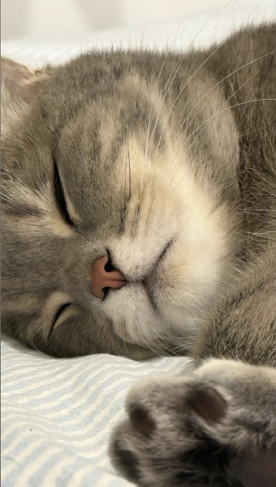 ～