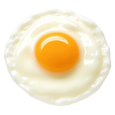 食物白底头像