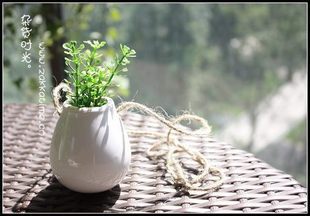 陶瓷鸡蛋吊瓶~种一小盆绿植，点亮你的心情~ （暂时缺货中，不过可持续关注，店家会补货） <a class='shortlnk' href='/s/04919986a' target='_blank' title='http://item.taobao.com/item.htm?id=3485429783'>点此查…