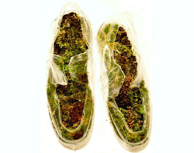 苔鞋 moss shoes