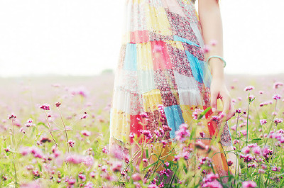 夏 夏
