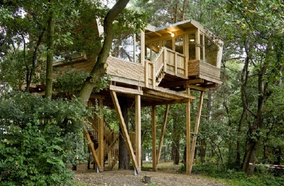 梦想中的Tree house