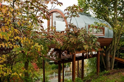 Tree house