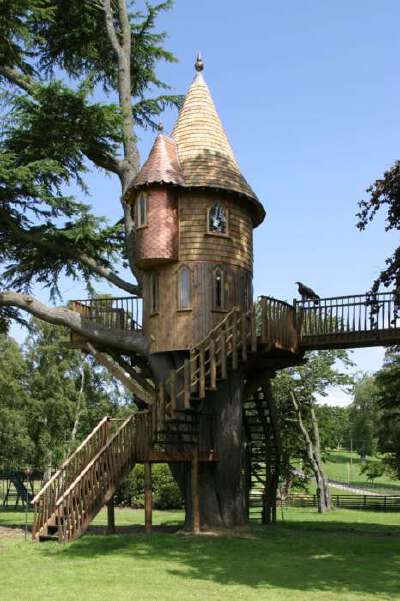 Tree house