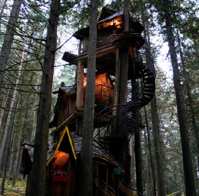 Tree house