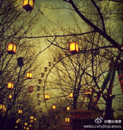 归灯