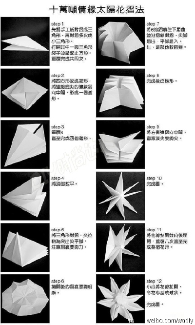 可爱的太阳花、、