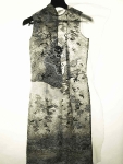Huishan Zhang, CSM 2010 graduate